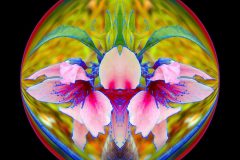 Pink Flower Circle – 12” x 12” – YR 2022