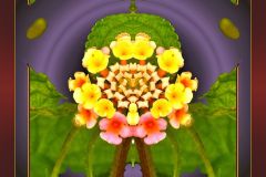 Stylized Roadside Blossom - 9" x 11" YR 2023