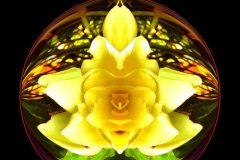 Yellow Blossom Circle – 12” x 12” – YR 2022