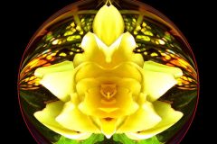 Yellow Blossom Circle – 12” x 12” – YR 2022