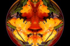 Yellow Shroom Circle – 12” x 12” – YR 2022