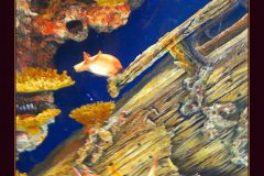 Atlanta Aquarium Wreck Reef – 18” x 22” – YR 2022