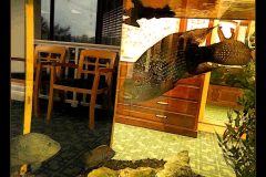 Eye Exam Too - 26" x 20" - YR 2022