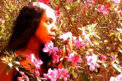 Lost in Azalea - 18" x 20" - YR 2022