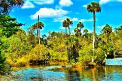 Ecofina River Island Palm – 28” x 16” – YR 2021