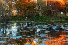 Heather Island Reflection #1 - 18" x 24" - YR 2025