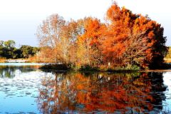 Heather Island Reflection #2 - 24" x 16" - YR 2025