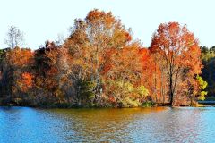 Piney Z Lake Island - 24" x 18" - YR 2024