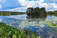 Lake Lafayette Reflections - 24" x 17" - YR 2025