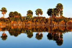 Lighthouse Pool Reflection #2 - 20" x 14" - YR 2025