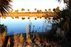Lighthouse Pool Reflections #1 - 18" x 22" - YR 2025