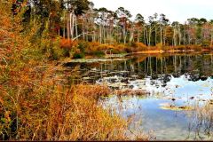Silver Lake Reflections - 26" x 16" - YR 2024