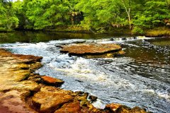 Steinhatchee River Falls – 28” x 16” – YR 2021