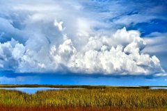 Storm over Dickerson Bay – 28” x 16” – YR 2021