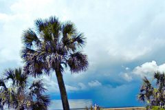 Storm over East River - 26" x 12" - YR 2022