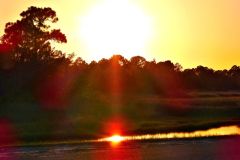 Sunspots at The Bottoms Fishery - 18" x 22" - YR 2025