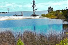 Tidal Marsh - 24" x 16" - YR 2023