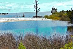 Tidal Marsh - 24" x 16" - YR 2023