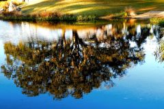 Urban Reflection #1 - 22" x 14" - YR 2024