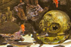 Helmet Reef at Atlanta Aquarium - 22" x 17" - YR 2022