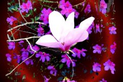 Flower Power - 14" x 18" - YR 2026