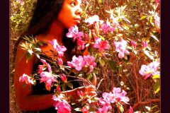 Lost in Azalea - 18" x 20" - YR 2022