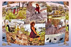 Lake Ella Collage - 32" x 22" - YR 2024